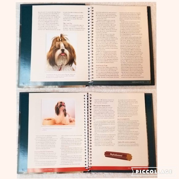 Shih Tzu Dog Life: Lifelong Care for Your Dog Book With DVD - Picture 6 of 6